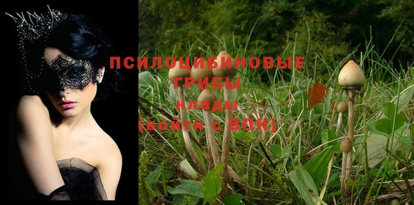 гашиш Богородицк