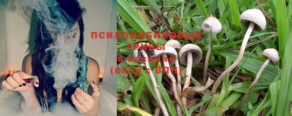 соль курить ск Богданович
