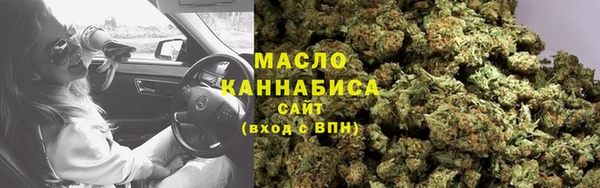 прущие грибы Бородино
