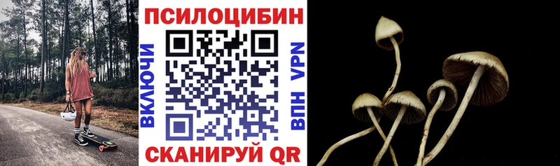 где найти наркотики  Химки  сайты даркнета какой сайт  Галлюциногенные грибы Psilocybe 