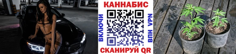 Марихуана гибрид  Химки 